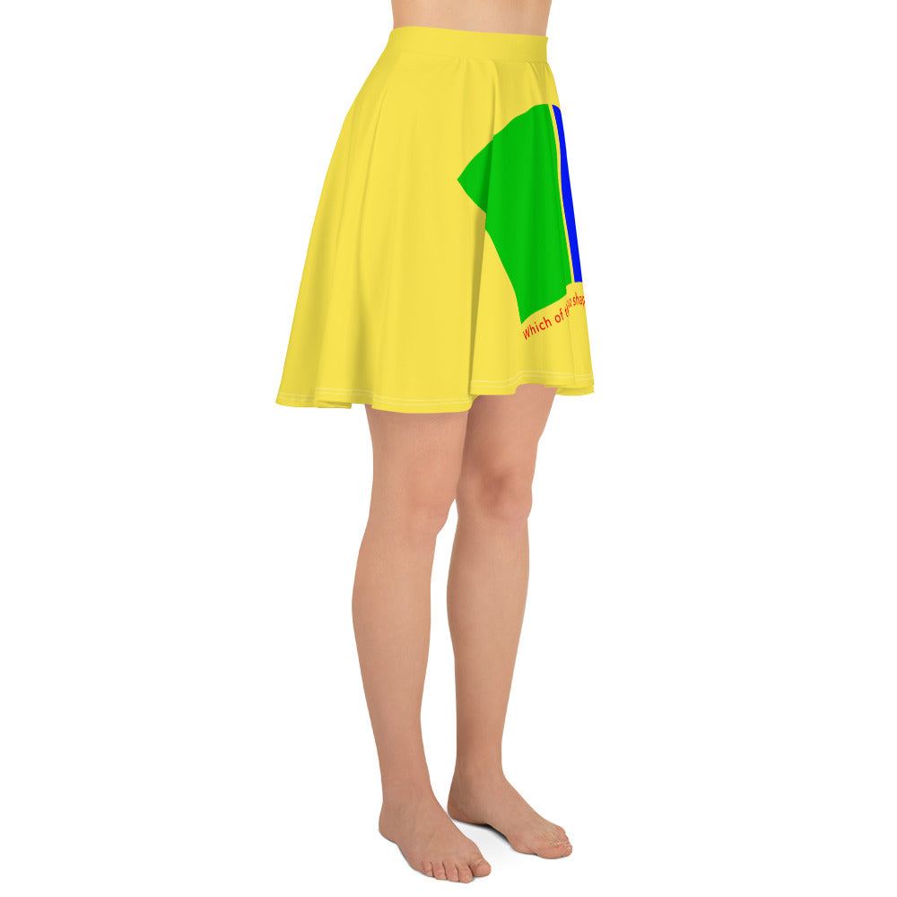 Skater Skirt (Reflections / Questions collection)