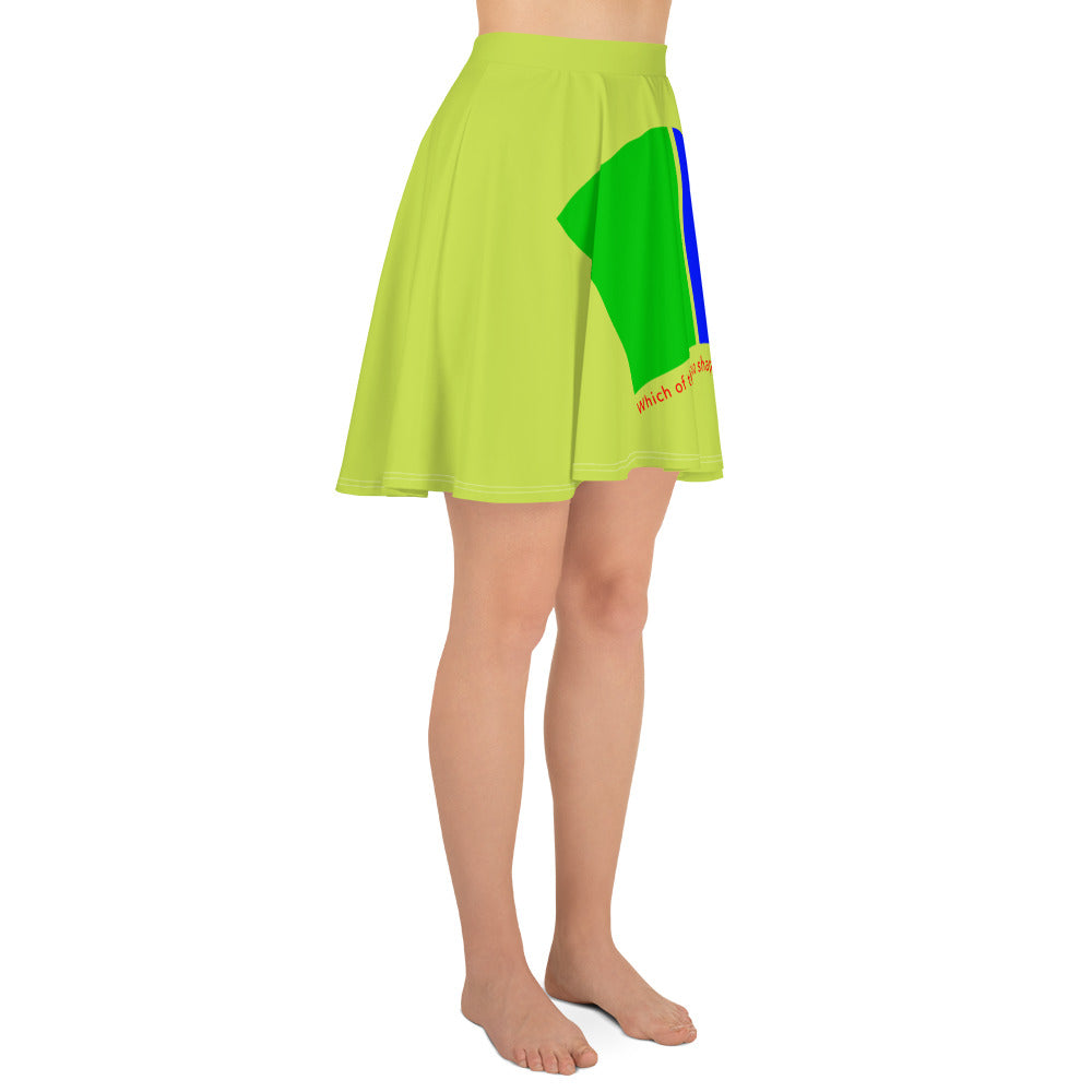 Skater Skirt (Reflections / Questions collection)