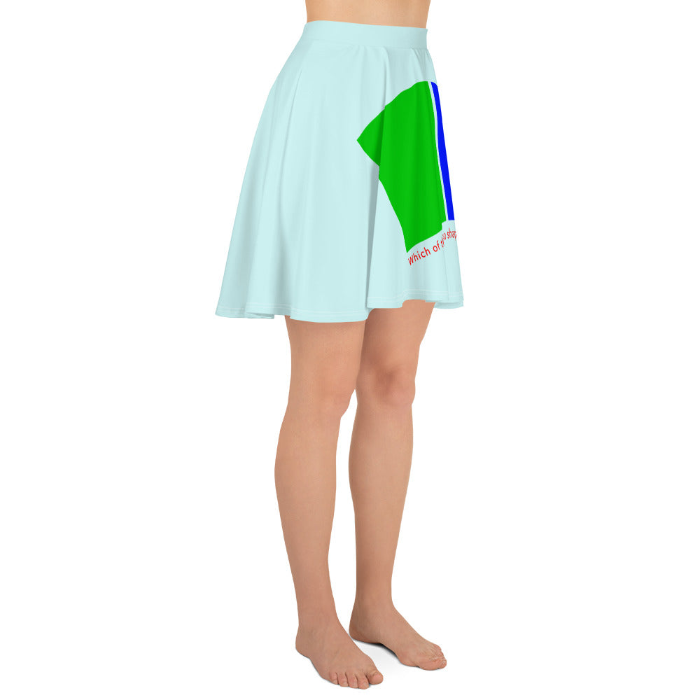 Skater Skirt (Reflections / Questions collection)