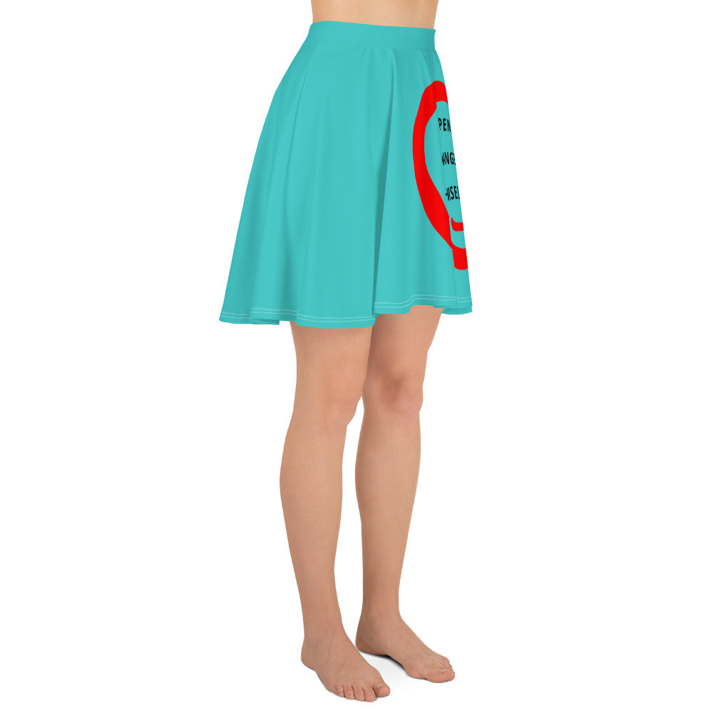 Skater Skirt (Reflections / Questions collection)