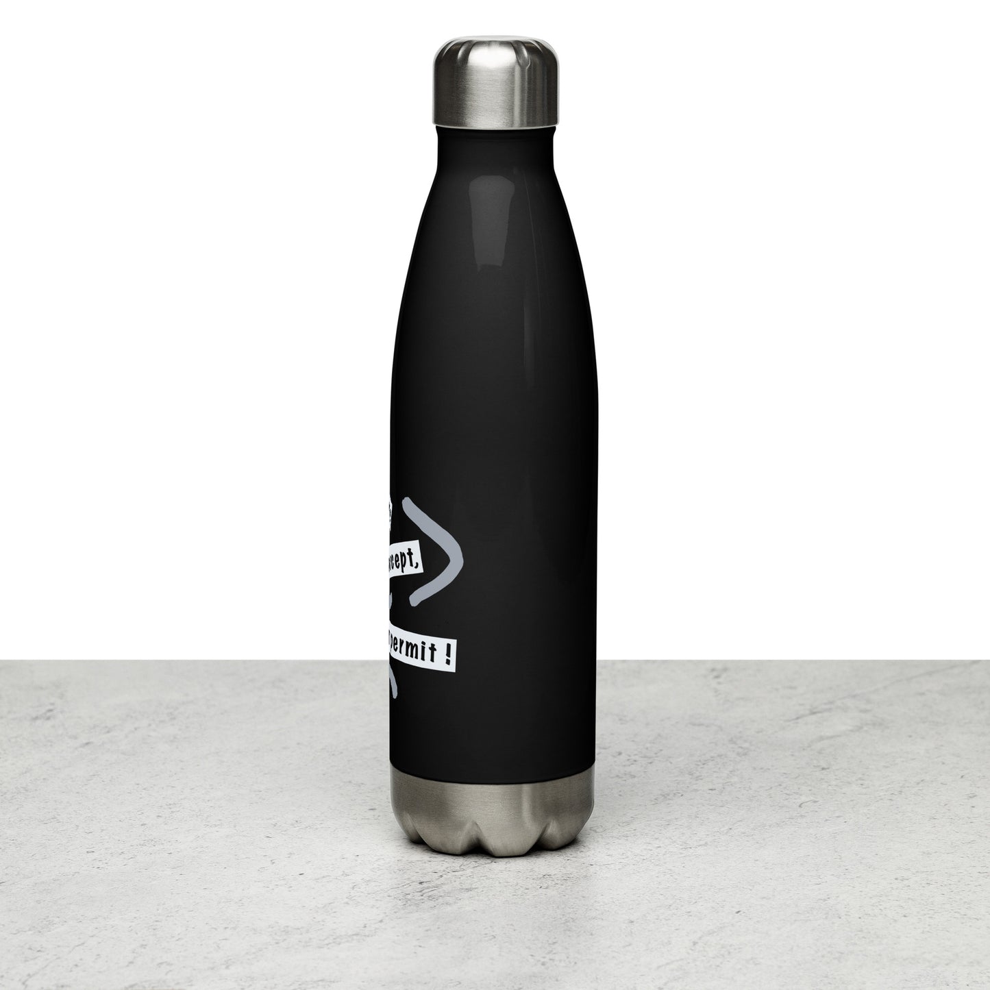 Stainless Steel Water Bottle (Reflections / Questions collection)