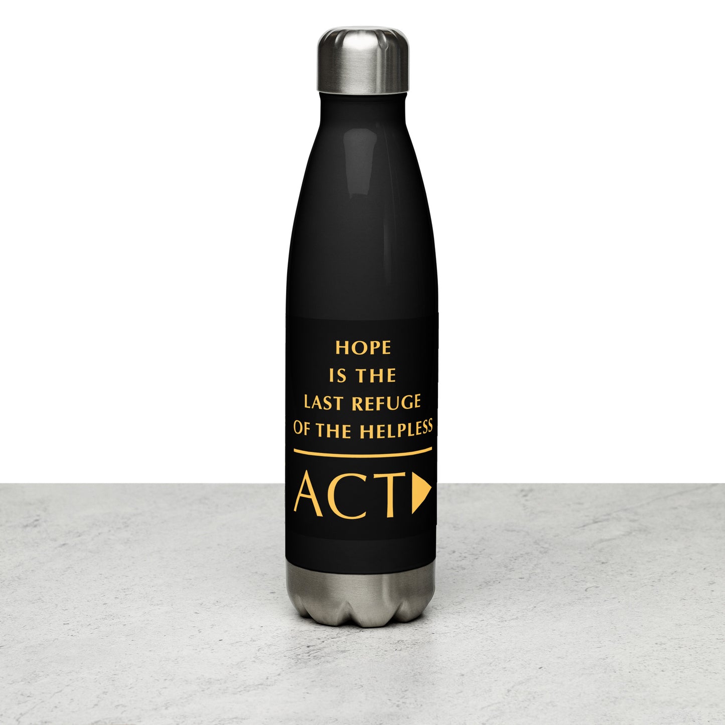 Stainless Steel Water Bottle (Reflections / Questions collection)