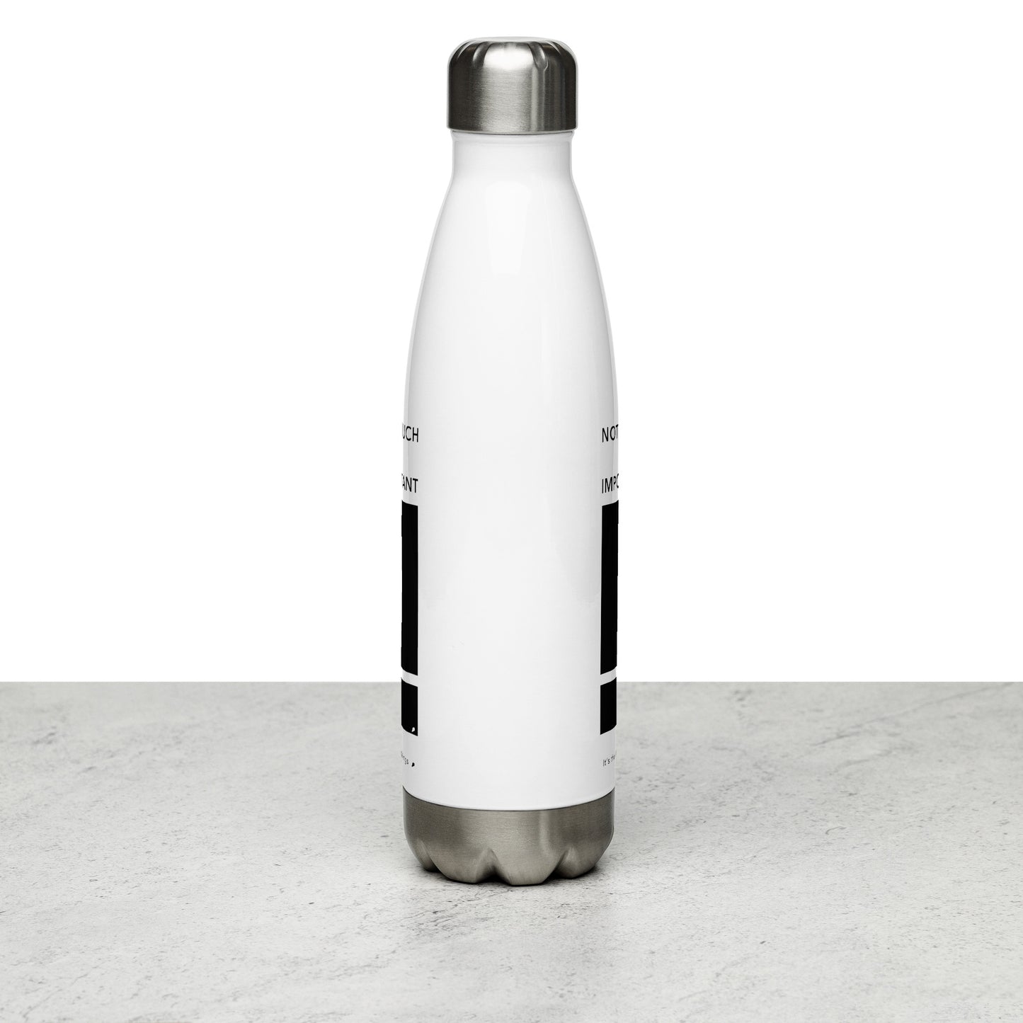 Stainless Steel Water Bottle (Reflections / Questions collection)