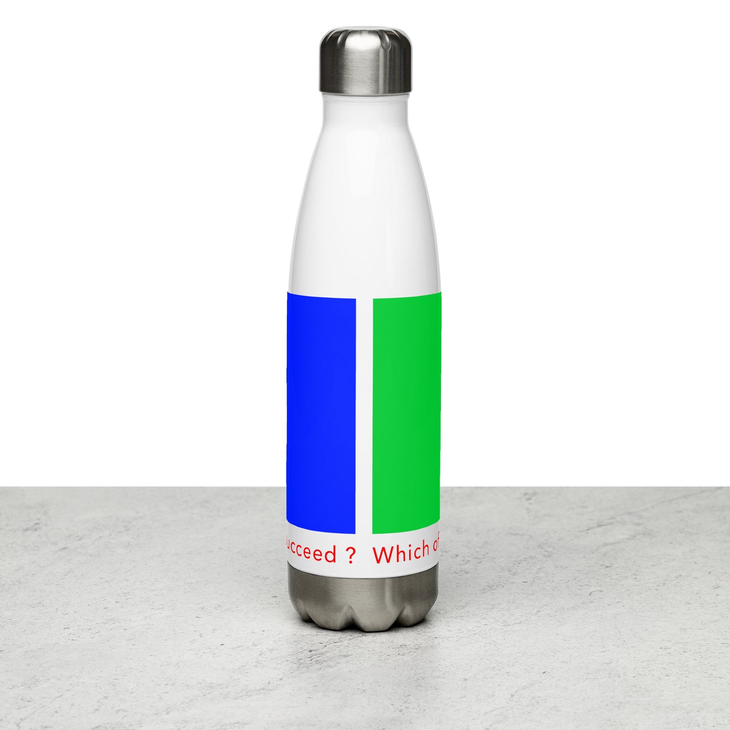 Stainless Steel Water Bottle (Reflections / Questions collection)