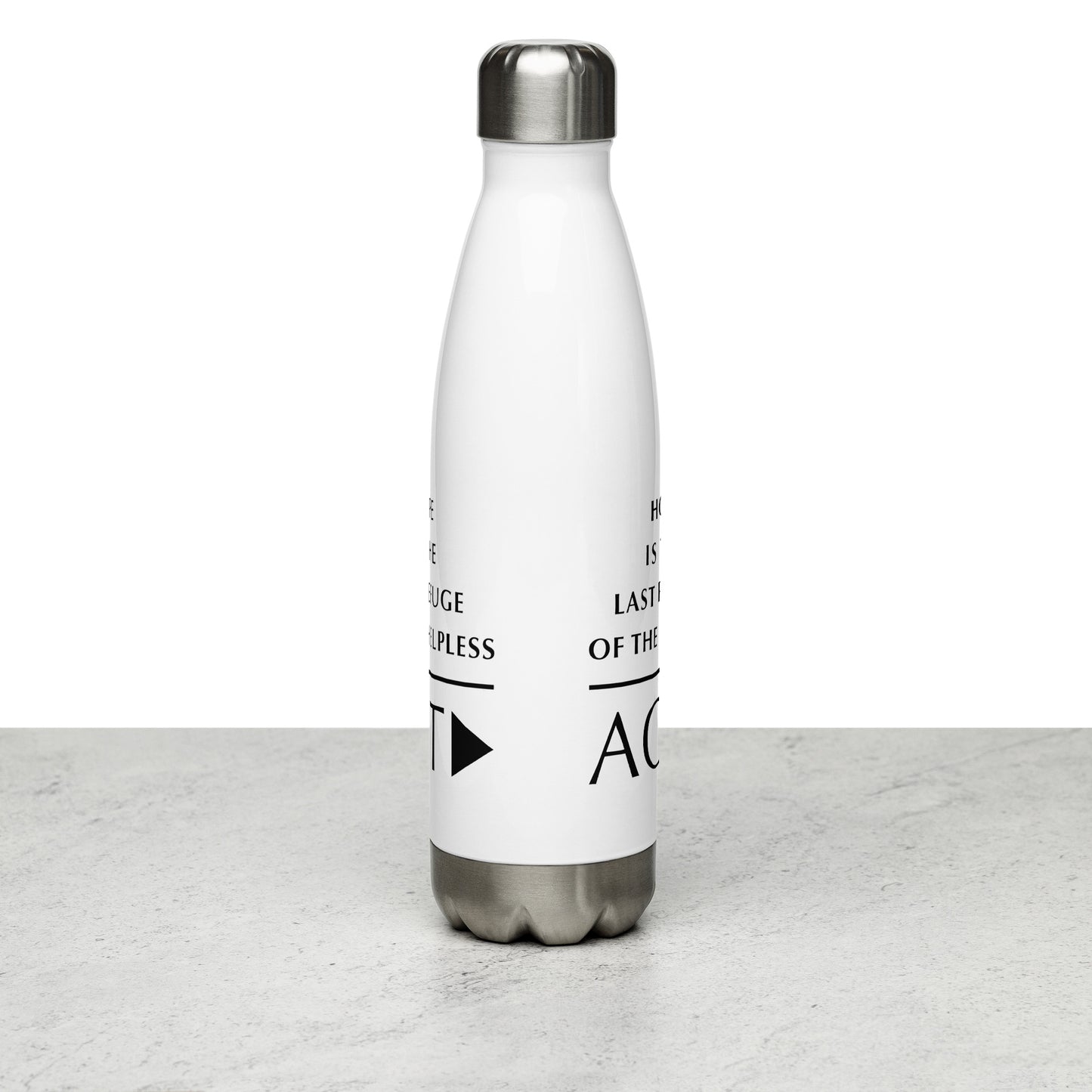 Stainless Steel Water Bottle (Reflections / Questions collection)