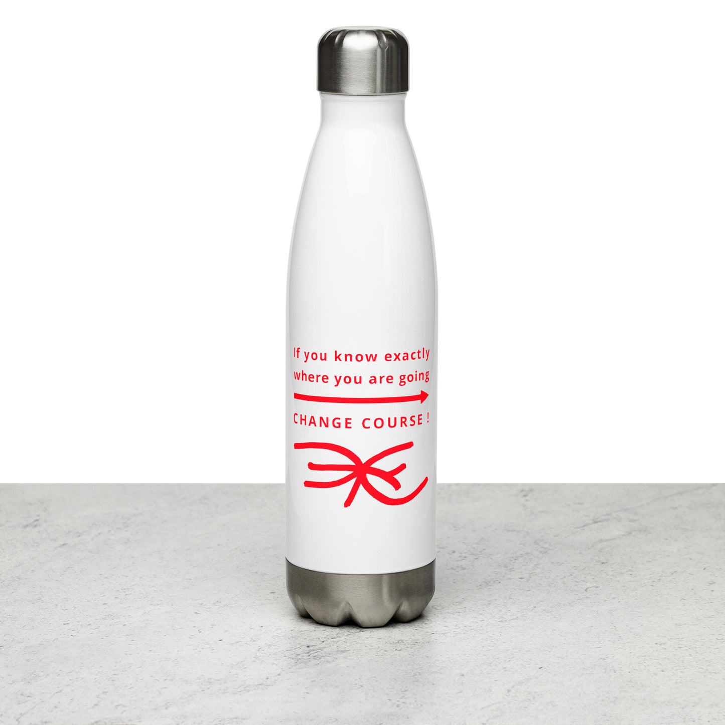 Stainless Steel Water Bottle (Reflections / Questions collection)