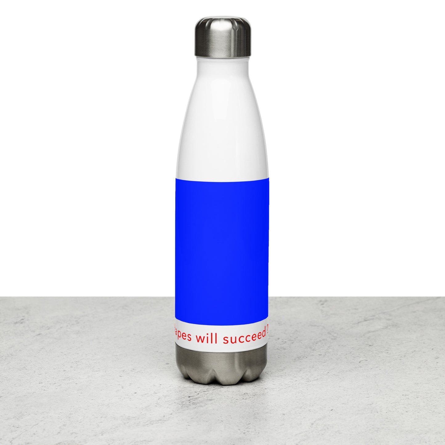 Stainless Steel Water Bottle (Reflections / Questions collection)