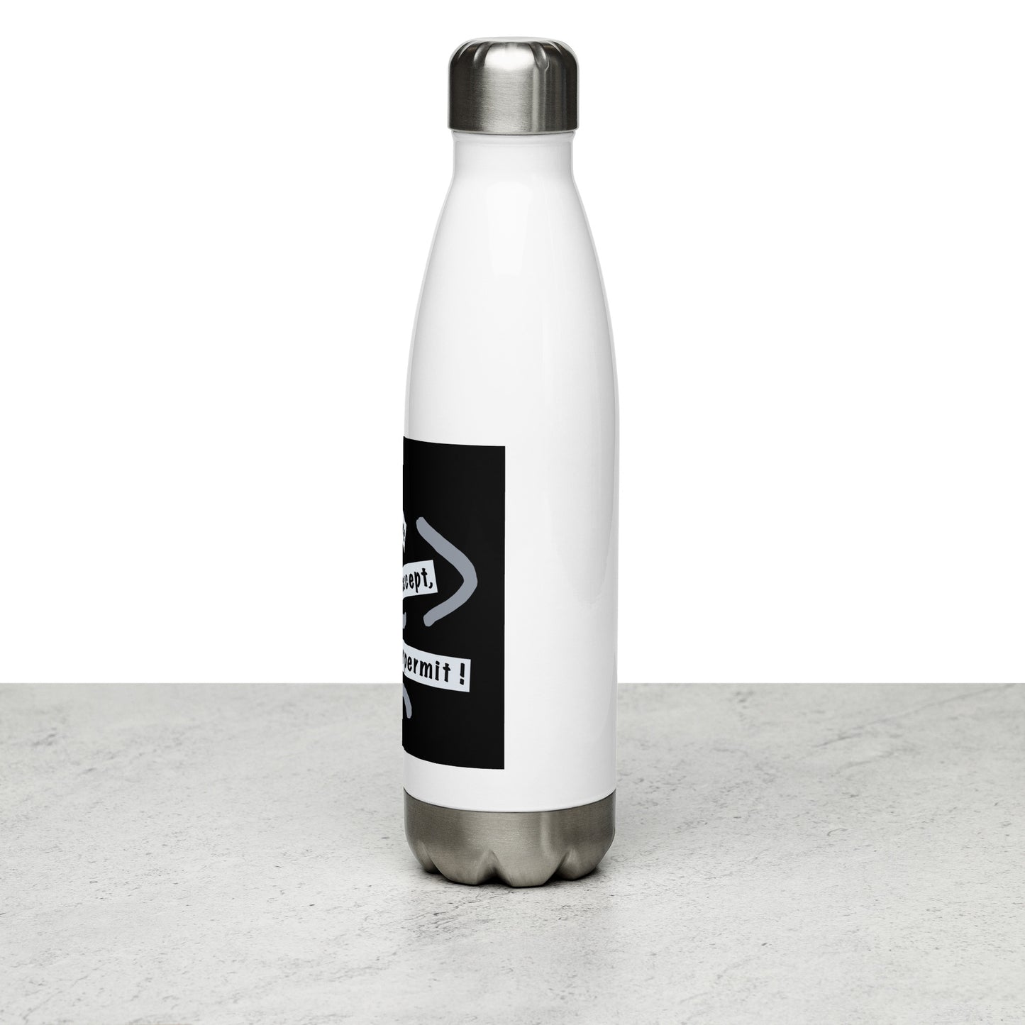 Stainless Steel Water Bottle (Reflections / Questions collection)