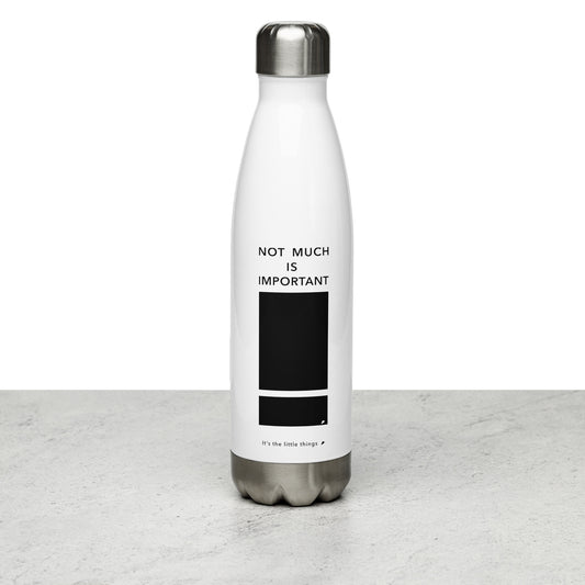 Stainless Steel Water Bottle (Reflections / Questions collection)