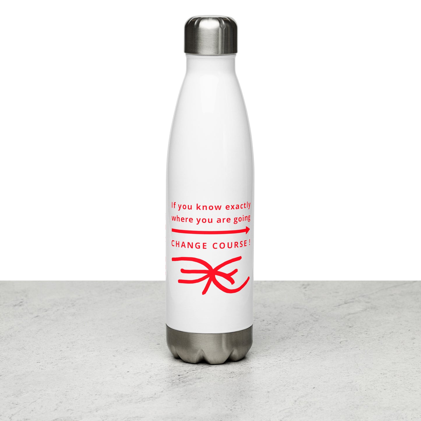 Stainless Steel Water Bottle (Reflections / Questions collection)