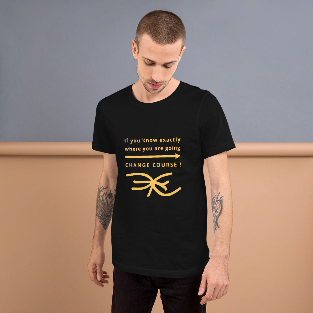 Unisex t-shirt (Reflections / Questions collection)