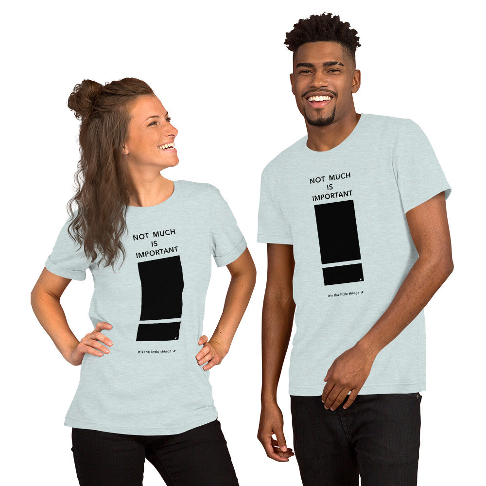 Unisex t-shirt (Reflections / Questions collection)